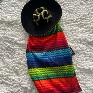 Cinco De Mayo Small Dog Costume